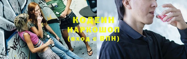 гашик Липки