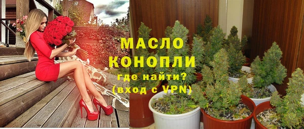 гашик Липки