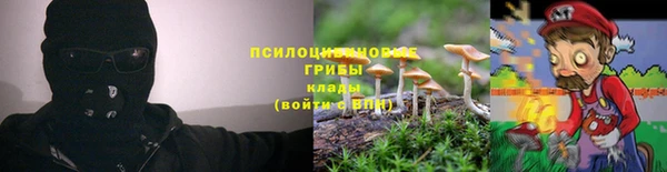 марки lsd Лиски